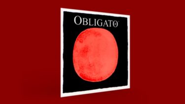 【使用歴15年以上！】暖かく、輪郭のはっきりした音。バイオリン弦「オブリガート」特徴を紹介