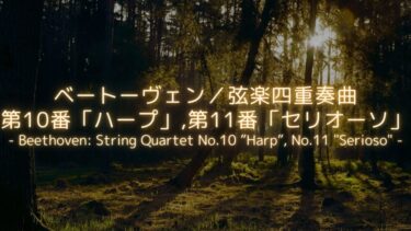 【「傑作の森」終盤の名作！】ベートーヴェン／弦楽四重奏曲第10番「ハープ」・第11番「セリオーソ」解説