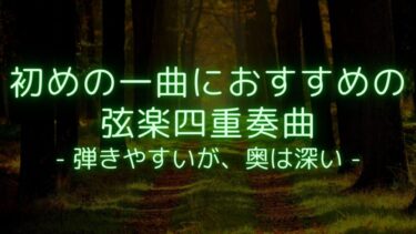 【弾きやすいが、奥は深い】初めの一曲におすすめの弦楽四重奏曲